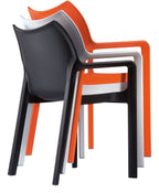 Diva Arm Chair