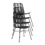 Palm Stacking Side Chair