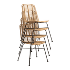 Palm Stacking Side Chair