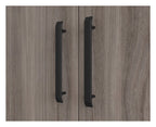 Affiliate Storage Cupboard, view 4