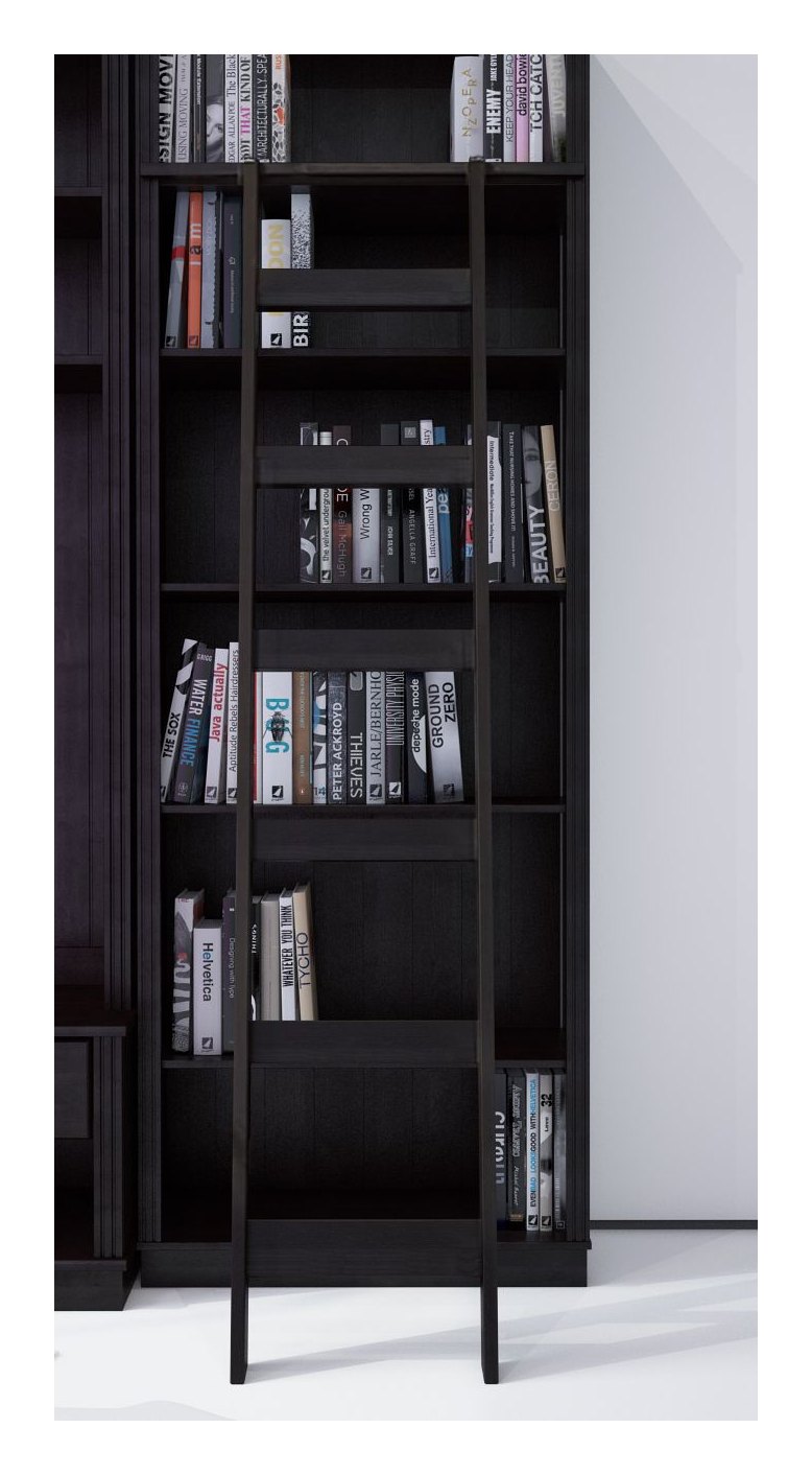 Anita Ladder, view 4