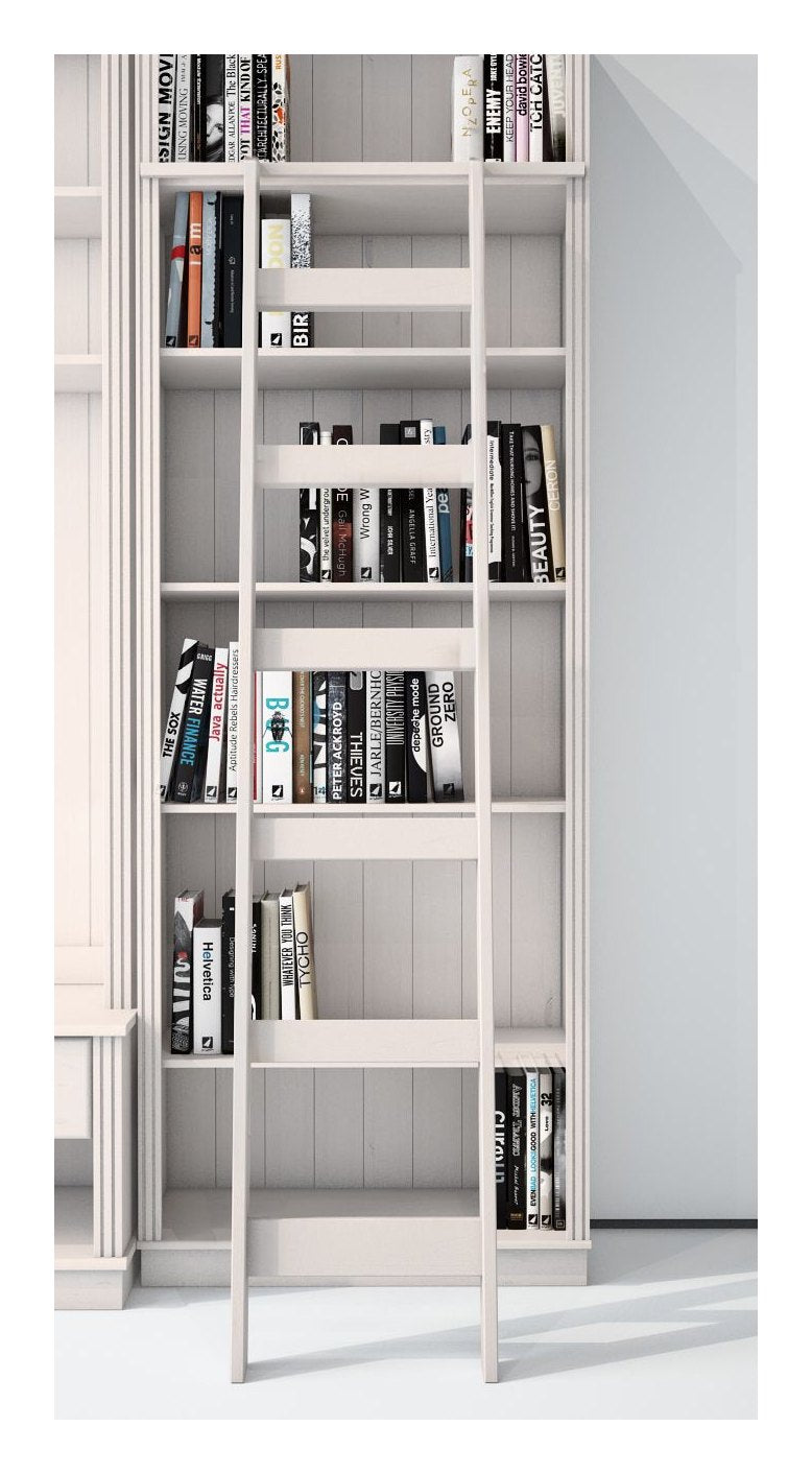 Anita Ladder, view 9