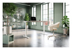 Apex Rusa Height Adjustable Desk, in an office