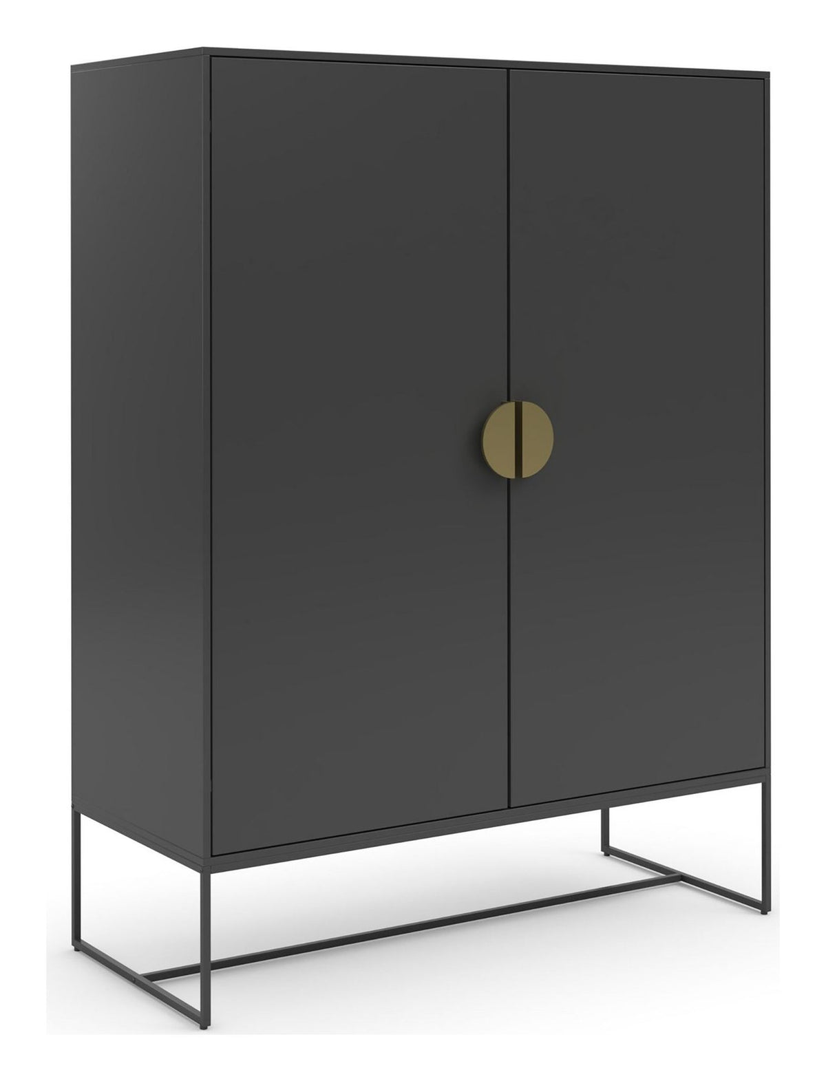 Asia Cabinet 2 Door