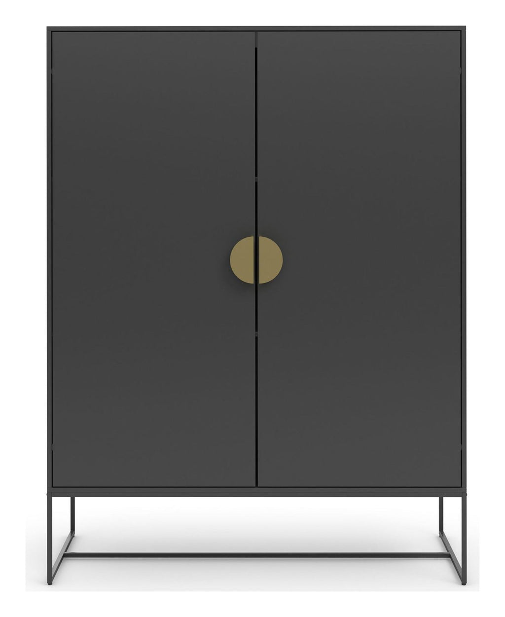 Asia Cabinet 2 Door, view 4