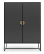 Asia Cabinet 2 Door, view 4