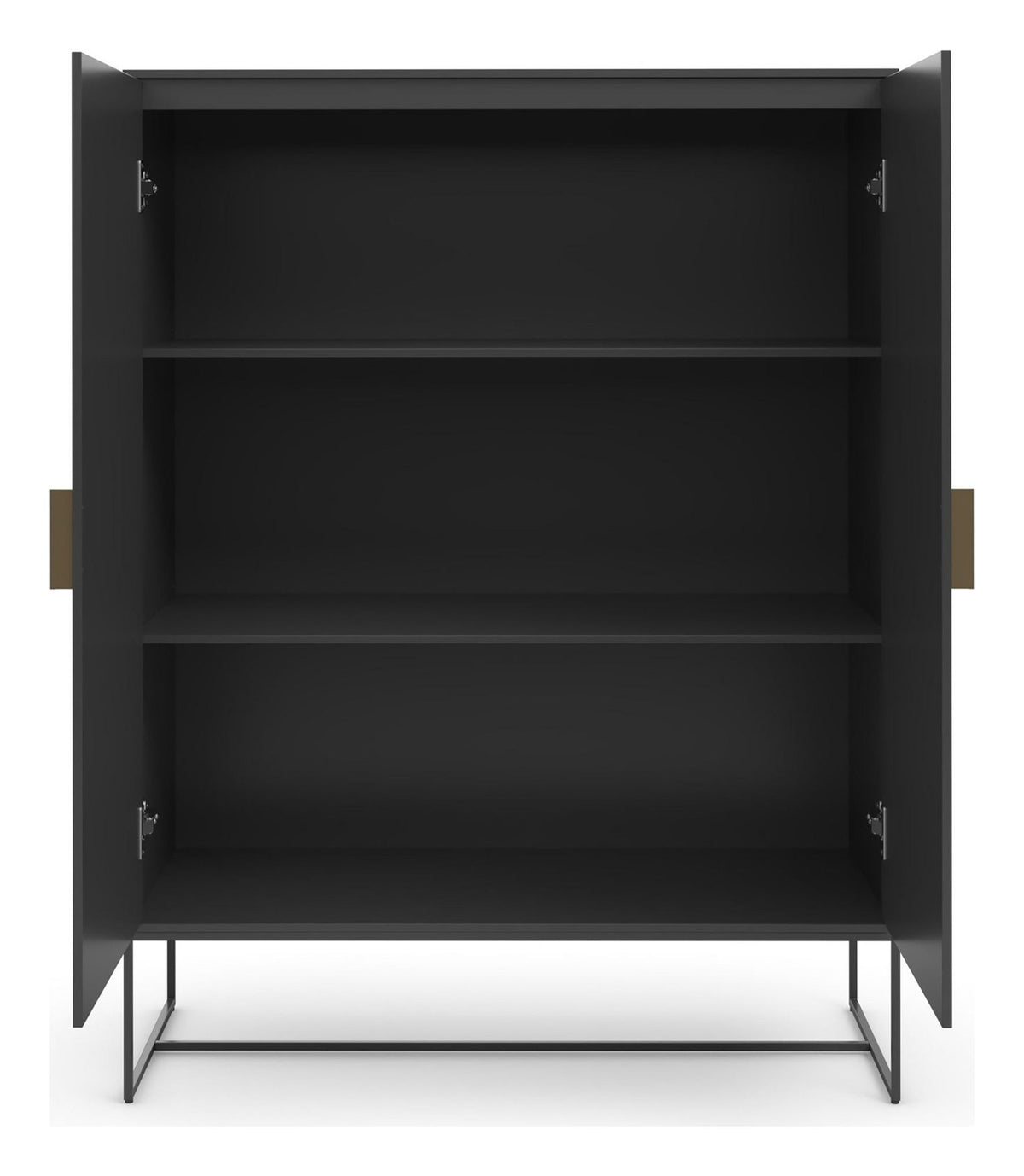 Asia Cabinet 2 Door, view 5
