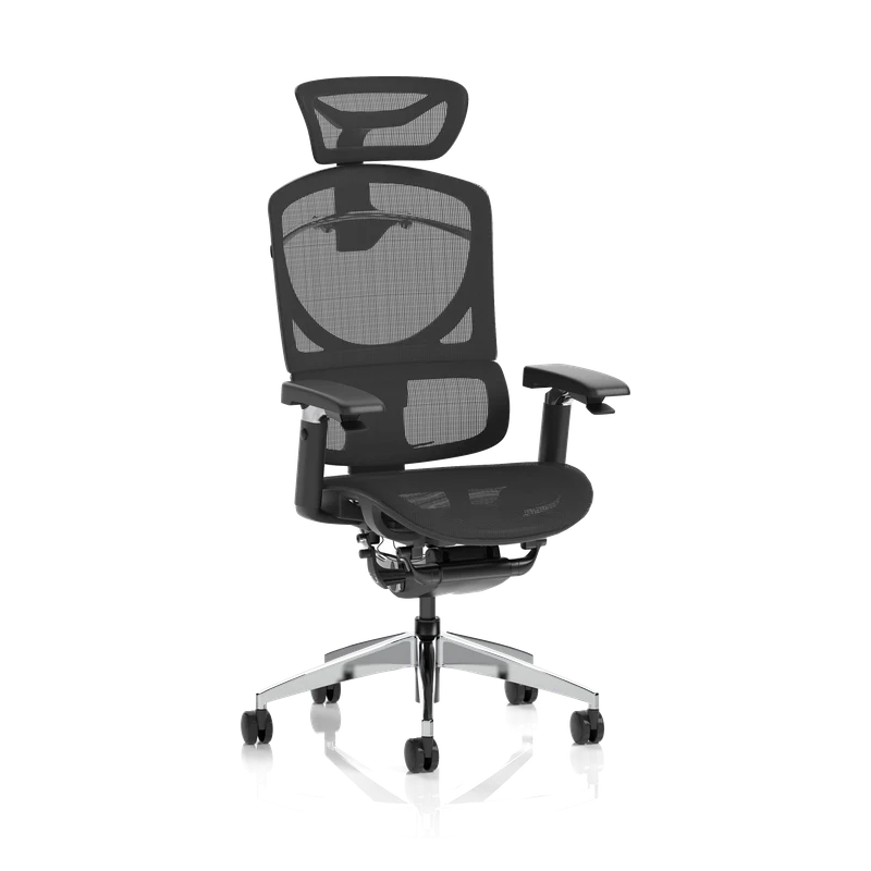 Ergonomic Chairs