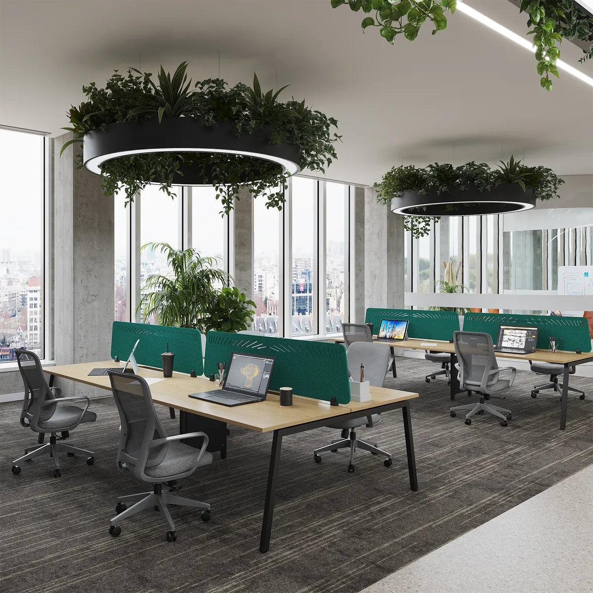 Oak bench desks fitted with green desk-mounted screens under hanging planters