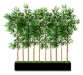 Bamboo Grove Decorative Screen