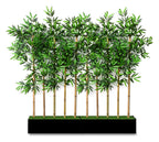 Bamboo Grove Decorative Screen