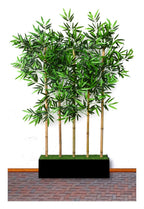 Bamboo Grove Decorative Screen, view 2