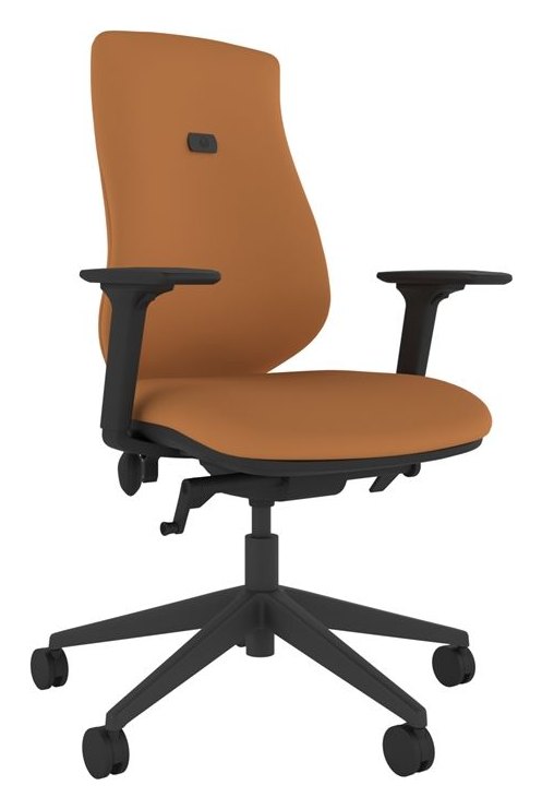 Brody Upholstered Ergo Chair