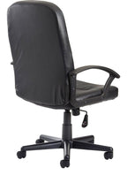Cavalier Leather Manager's Chair in black from the back