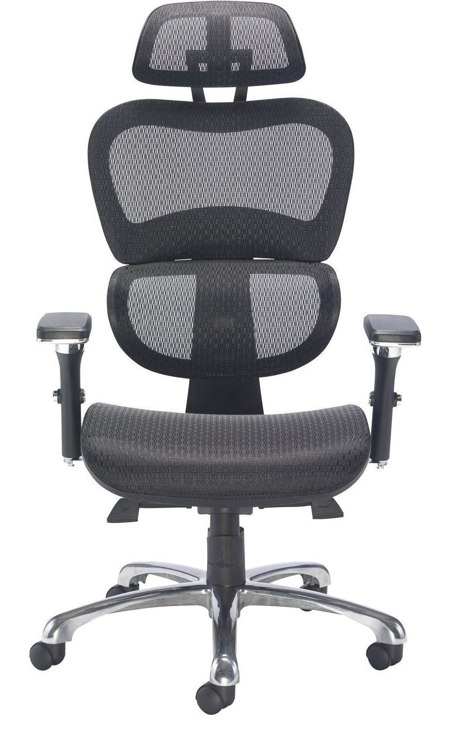 Chachi Ergonomic Office Chair from the front