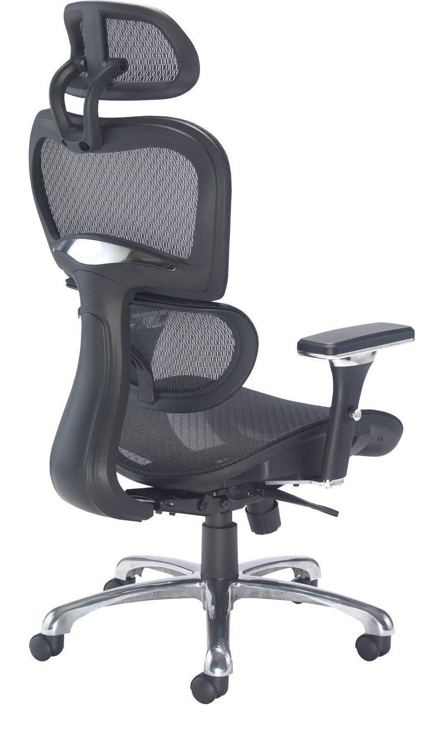 Chachi Ergonomic Office Chair from the back at an angle