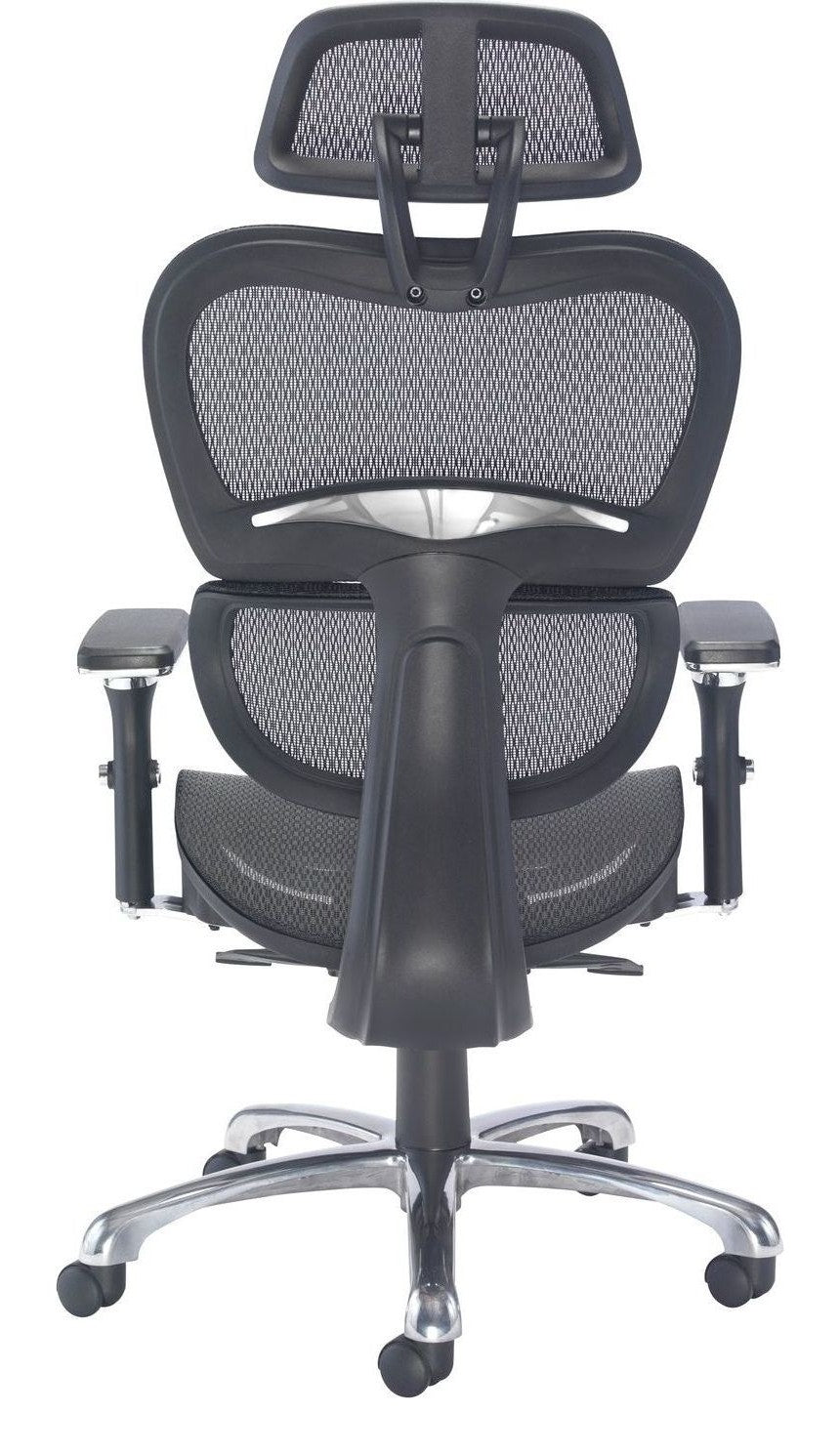 Chachi Ergonomic Office Chair from the back