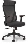 Dione Ergonomic Mesh Chair in black