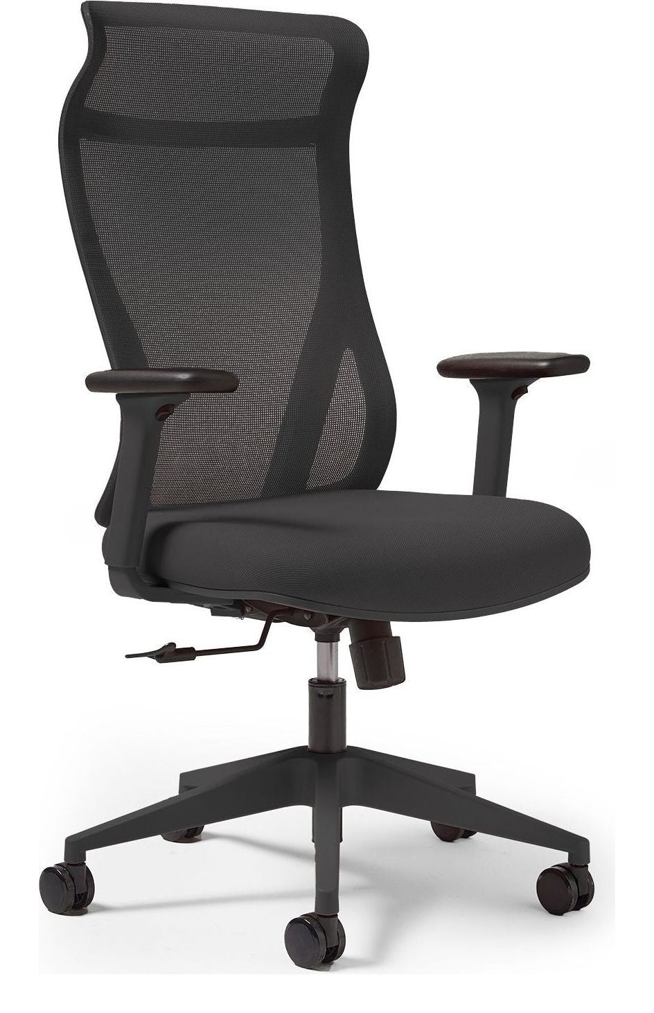 Dione Ergonomic Mesh Chair in black