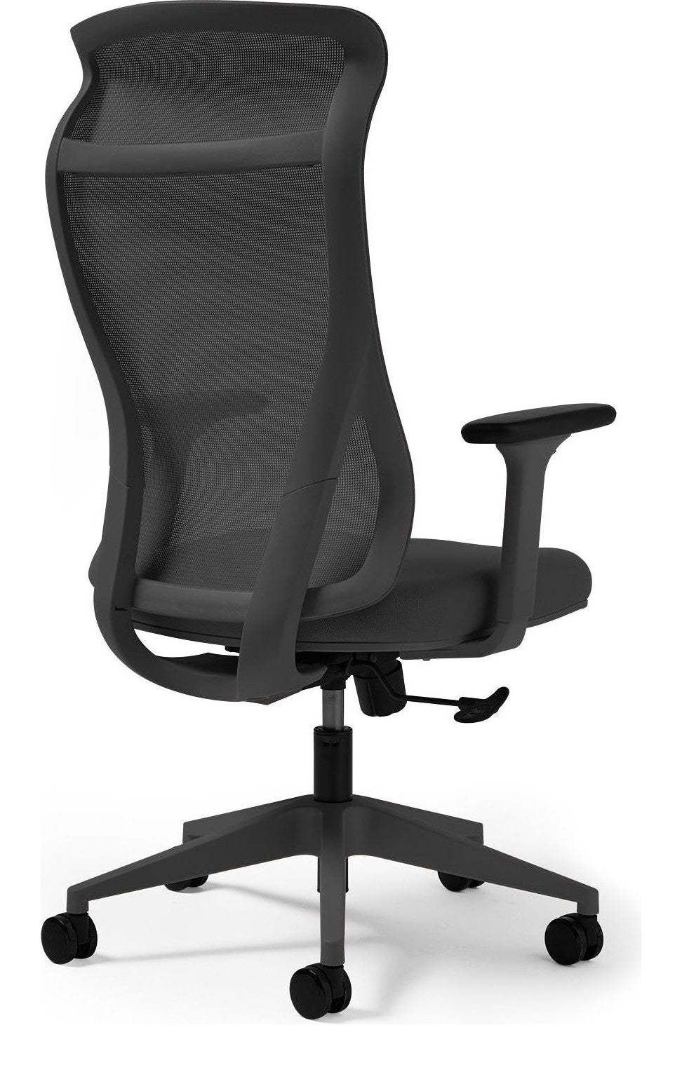 Dione Ergonomic Mesh Chair in black from the back