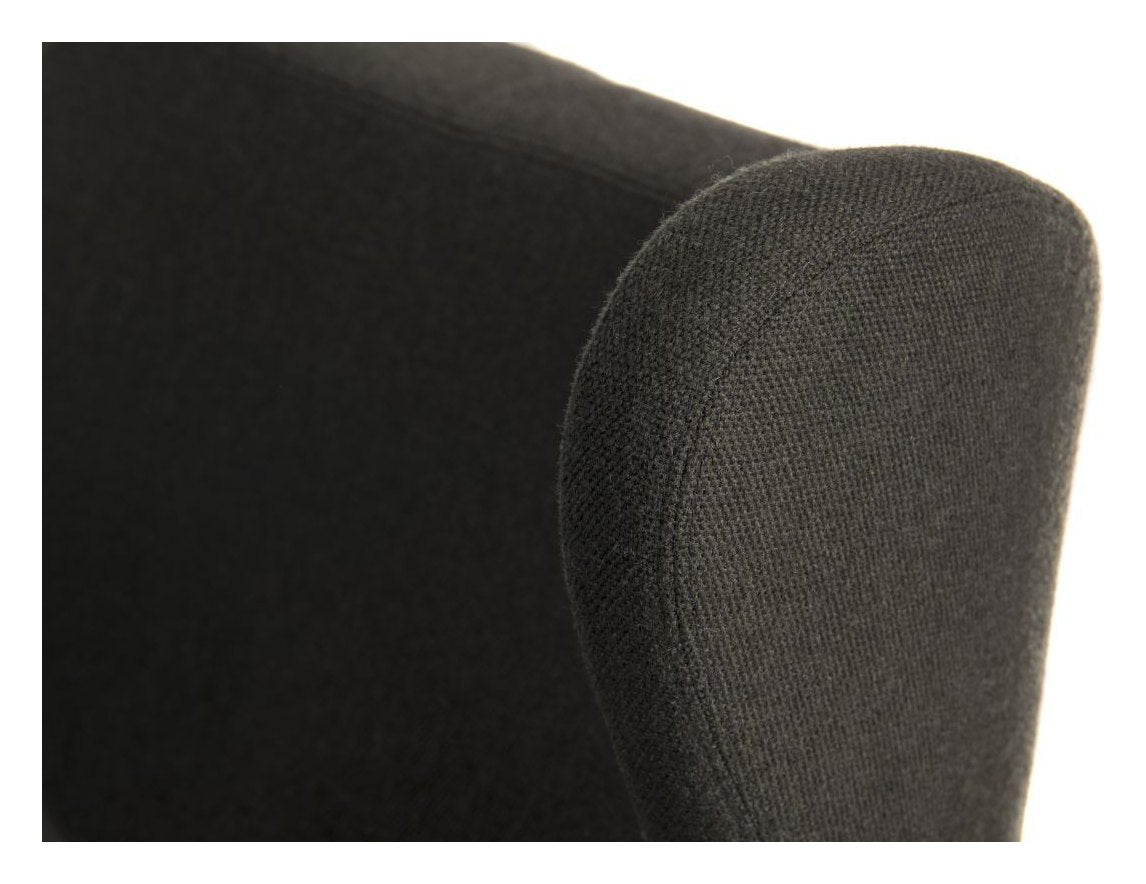 Fjord Nest Lounge Chair in carbon, view 9
