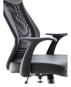 Fonseca 2 Office Chair another view