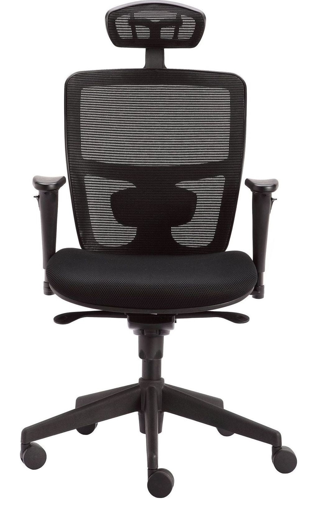 Halden Mesh Task Chair with Headrest