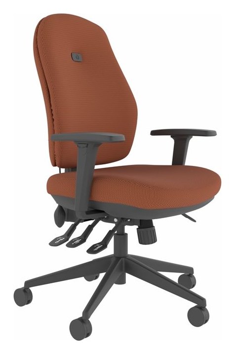 Intro Large Seat Posture Chair