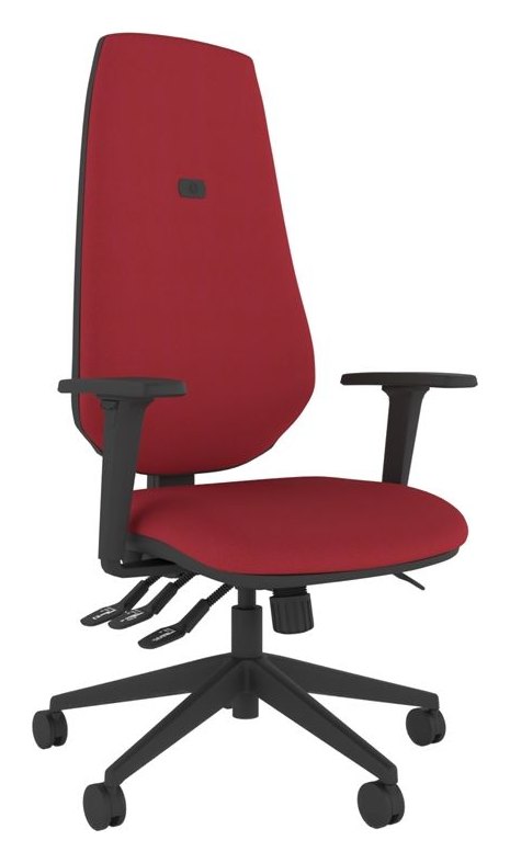 Intro Moulded Extra High Back Posture Chair, view 9