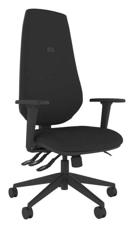 Intro Moulded Extra High Back Posture Chair, view 11