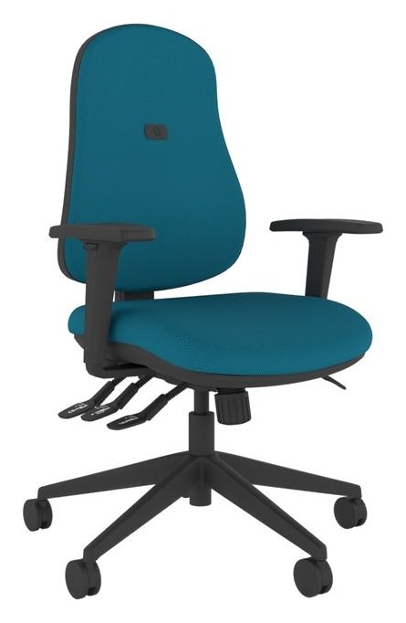 Intro Moulded Orthopaedic High Back Posture Chair