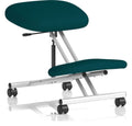 Kneeling Bespoke Task Operator Stool, teal, silver