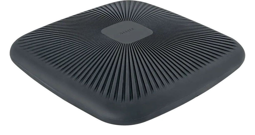 Leitz Ergo Active Wobble Cushion