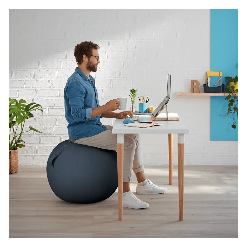 Leitz Ergo Cosy Active Sitting Ball, view 16