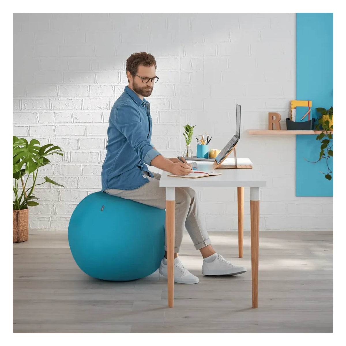 Leitz Ergo Cosy Active Sitting Ball, view 4