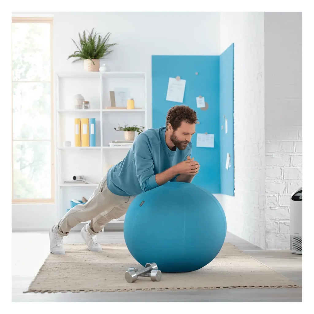 Leitz Ergo Cosy Active Sitting Ball, view 9