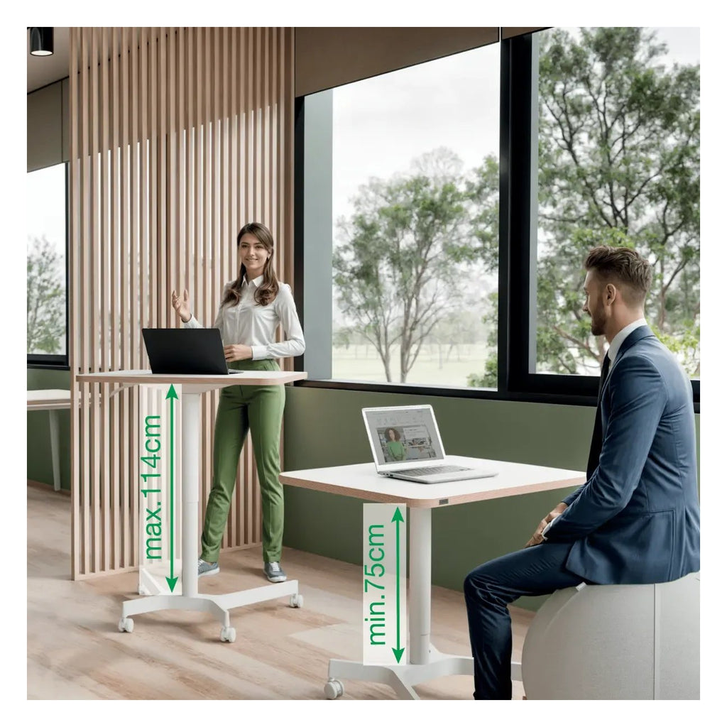 Leitz Ergo Small Sit Standing Desk, view 3
