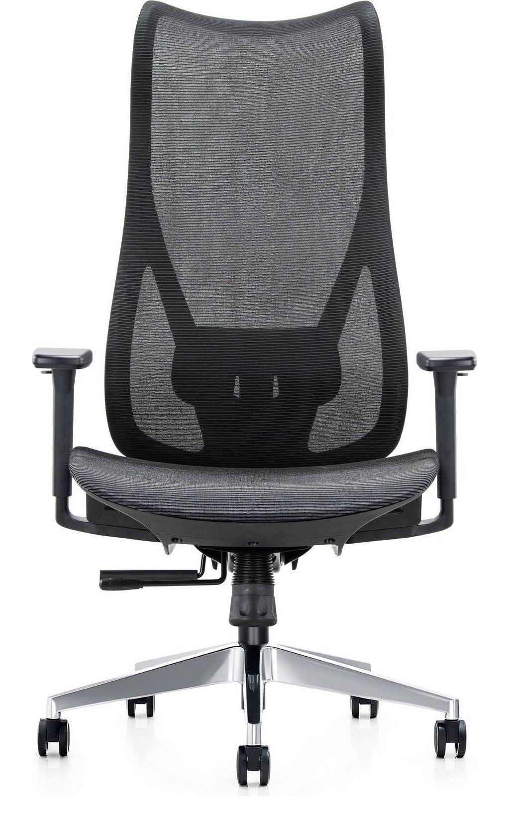 Mala Full Mesh Ergonomic Chair in ultra high back, chrome