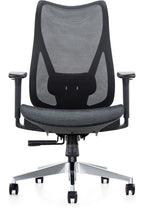Mala Full Mesh Ergonomic Chair in high back, chrome