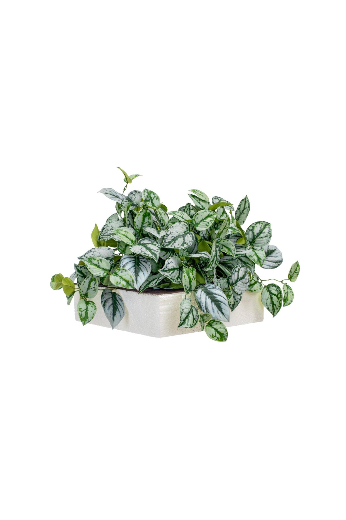 Mason Pavilion Roam XL Planter Plant Arrangement