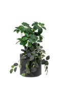 Mason Faux Plants range, in an office