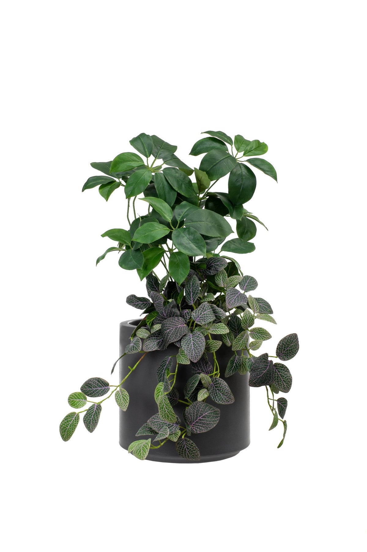 Mason Faux Plants range, in an office