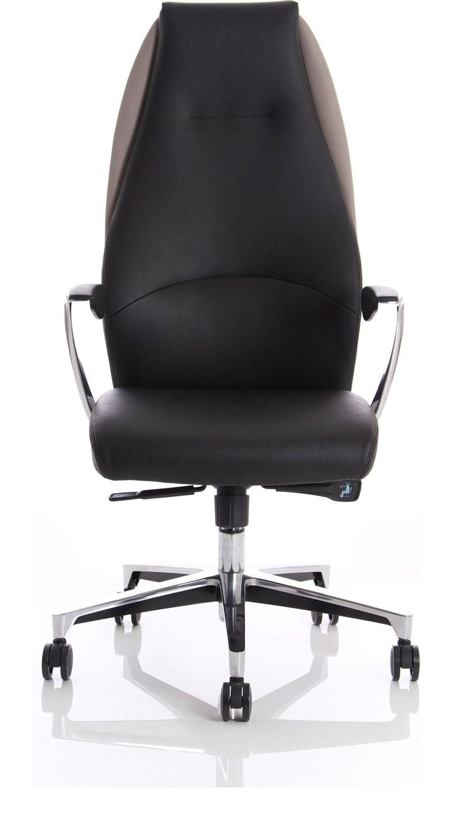 Mien High Back Leather Executive Chair, black & mink, another view 1