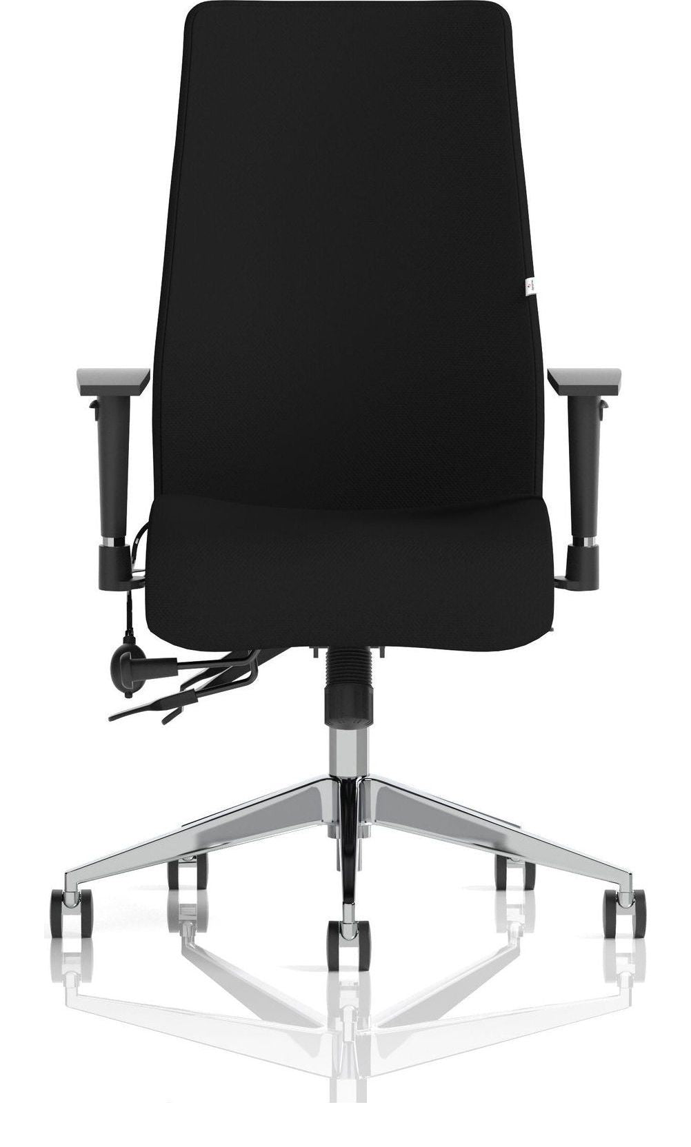 Onyx Fabric Ergonomic Posture Chair, black fabric, no headrest, another view 1