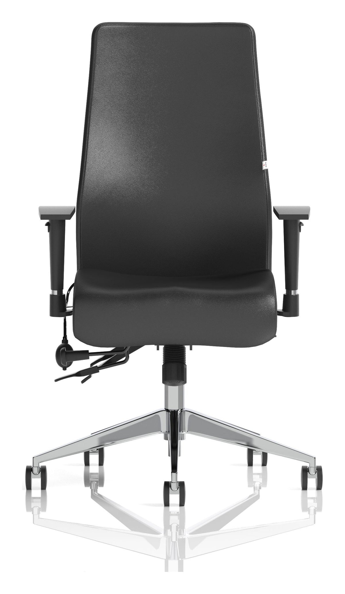 Onyx Leather Ergonomic Posture Chair, black leather, no headrest, another view 1