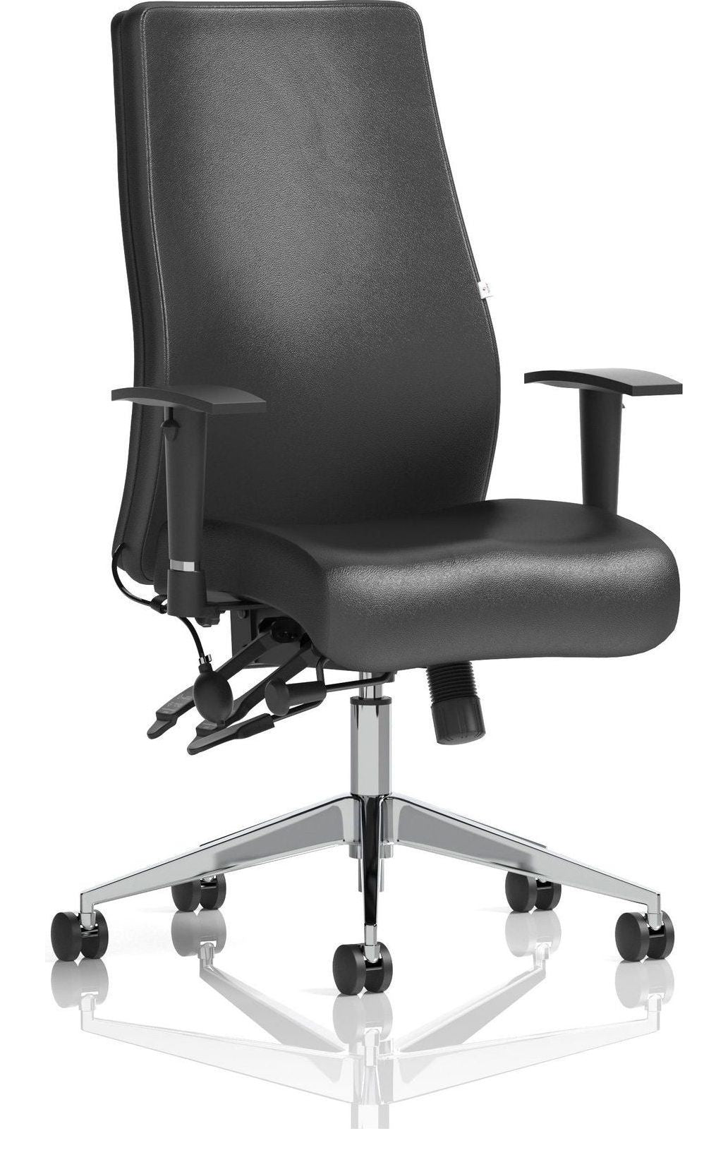 Onyx Leather Ergonomic Posture Chair, black leather, no headrest