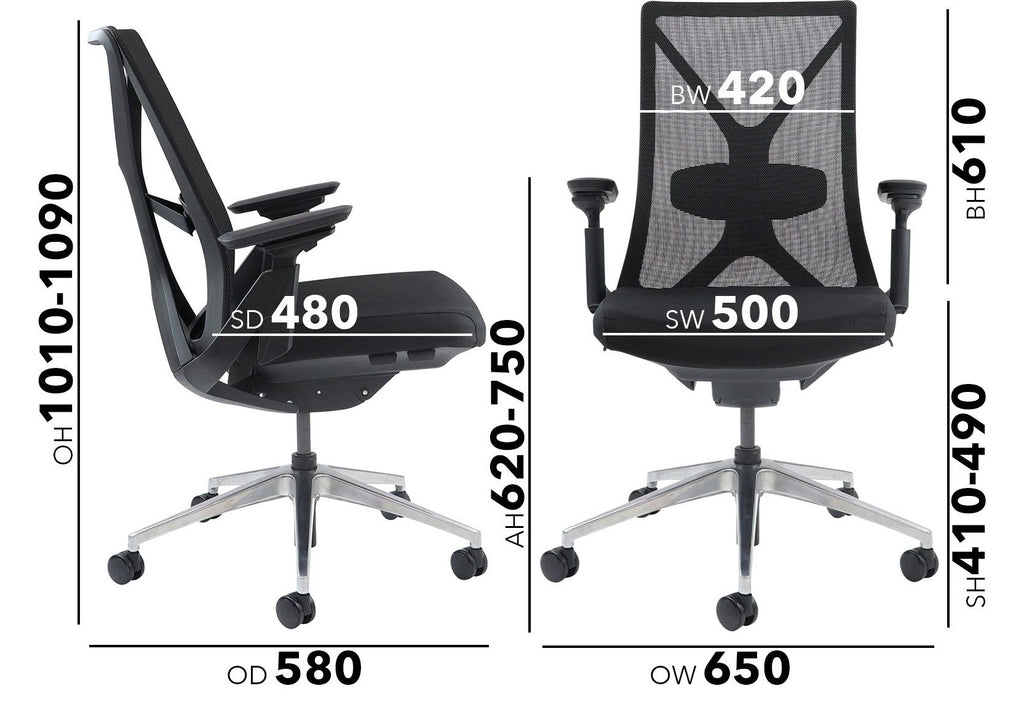 Paxton Ergonomic Mesh Chair dimensions