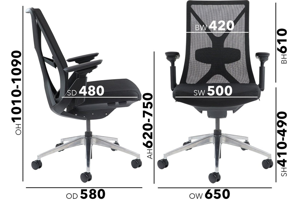 Paxton Ergonomic Mesh Chair dimensions