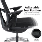 Paxton Ergonomic Mesh Chair detail
