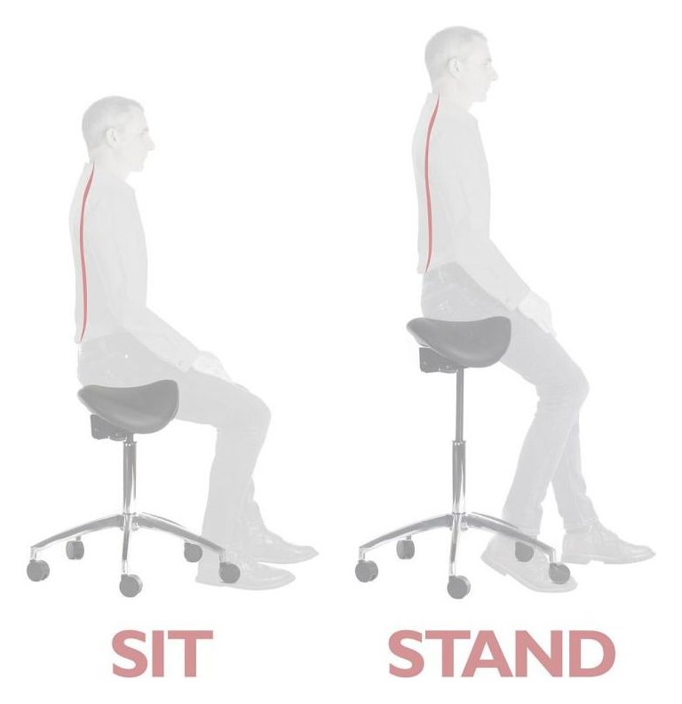 Perch Sit-Stand Saddle Stool in black, view 6